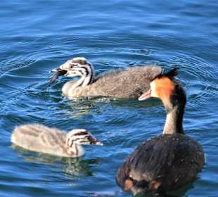 7:30 Fütterungszeit