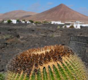 Blick vom Vulkanhaus