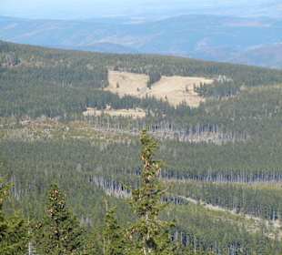 Schneekope/Śnieżka