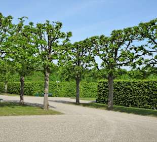 Impressionen aus den Herrenhäuser Gärten