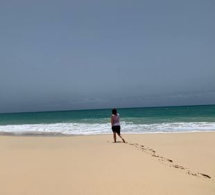 Santa Monica Beach