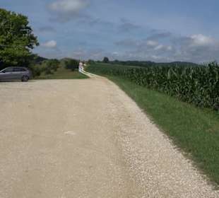 Wacholderheide Hoher Stein