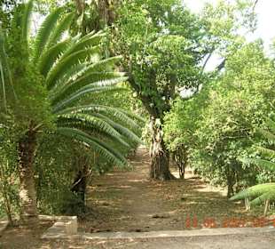 Gartenanlage Hacienda