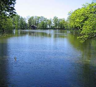See im Schlosspark