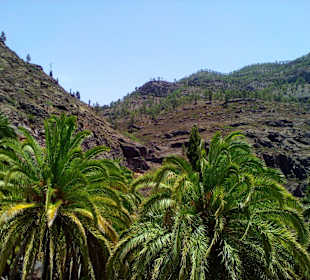 Bergwelt in Gran Canaria