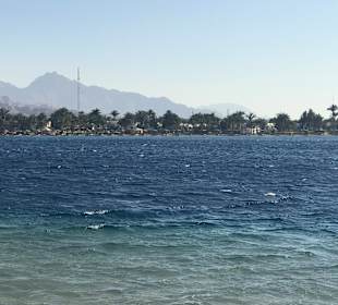 Lagona Divers Dahab Süd 