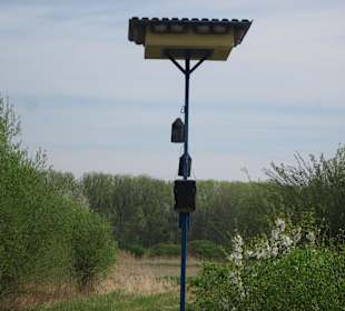 Vogelhaus nahe Rhein