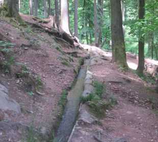 Zulauf Wasserfall am Hilschweiher
