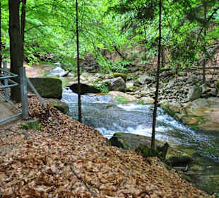 Rzeka Szklarska w drodze do Wodospadu.
