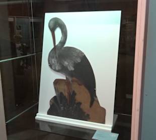 Freilichtmuseum Beuren