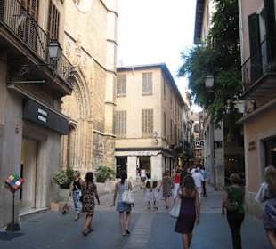 Palma