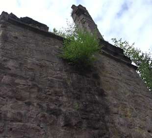 Burgruine Sterneck