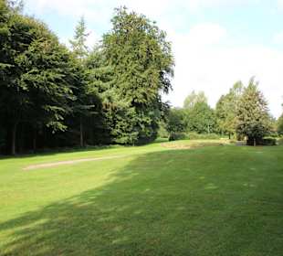 Wald umsäumte Fairways