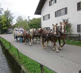 Erntewagen mit Kornsäcken