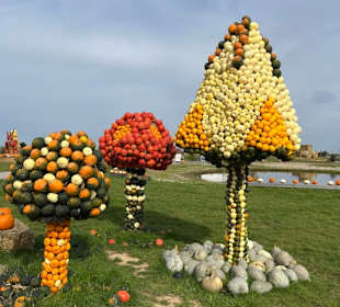Krewelshof  Kürbisschau 2022 (Wundersame Waldwesen