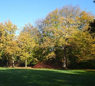 Herbstspaziergang durch den Schlosspark Lütetsburg