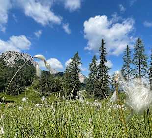 Wandern Hermagor - Pressegger See