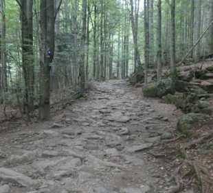 Wasserfall-Tour: Weg zu den Rißlochwasserfällen