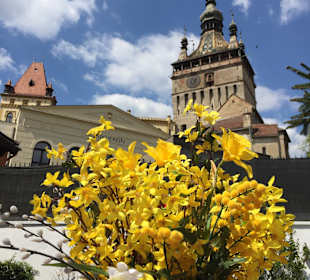 Altstadt Sighisoara/Schäßburg