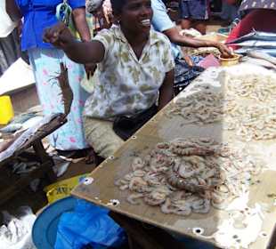 Fischmarkt in Negombo