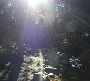 Karkonoski Park Narodowy