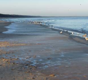 Piekna plaza nawet zima!