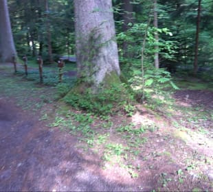Waldfriedhof Altensteig