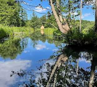 Wandern Burg (Spreewald)