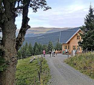 Almhütte mit Blick zum Hochwechsel