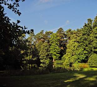 Кладбище Ольсдорф, Гамбург, 16 сентября 2013 года