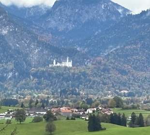 Ausblick