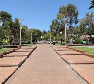 Grüne Lunge mitten in der Stadt