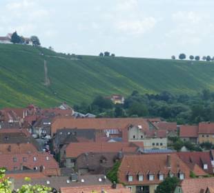Escherndorf: Eindrücke einer Weinbergeswanderung