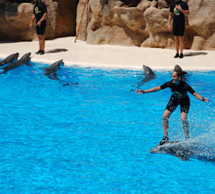 Loro Parque