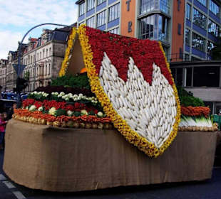 Knoblauchsland Fürth