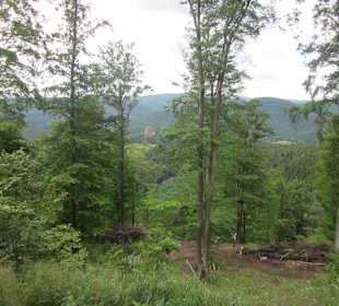 Auf dem Weg zur Löwenstein