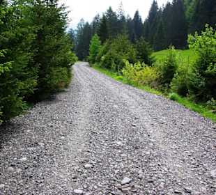 Fußweg zum Grünsee