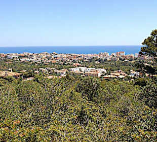Panorama Cala Bona/Cala Millor