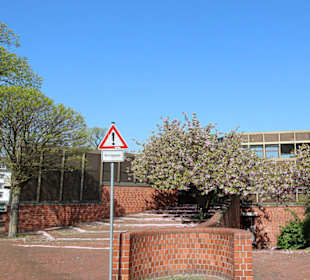 Rückseite Kurt-Hirschfeld-Forum