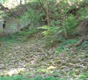 Premiumwanderweg Hochgehschätzt