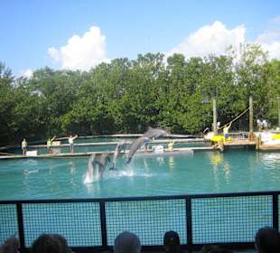 Miami Seaquarium