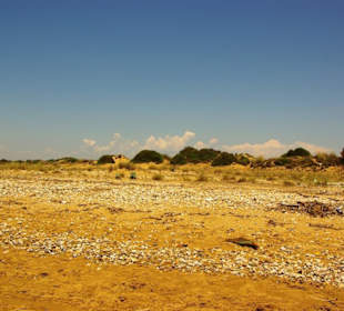 Gündogdu leichter Kies/Muschelbereiche