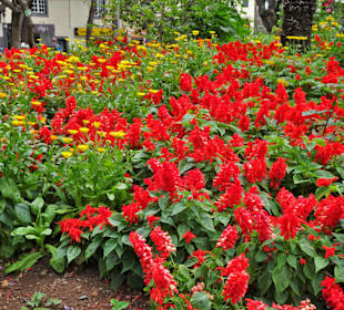 Impressionen aus dem Stadtpark von Funchal