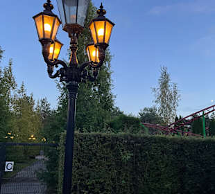 Mondo Verde Halloween