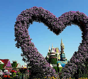 Miracle Garden