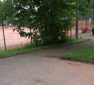 Tennisanlage Hallwangen