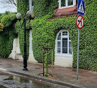 Efeuhaus Richtung Strand