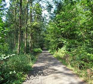 Rundgang durch den Landschaftsgarten Bettenburg