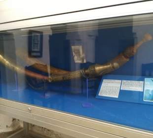 Im Lamu Museum