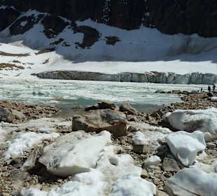 Cavell Glacier mit See